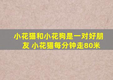 小花猫和小花狗是一对好朋友 小花猫每分钟走80米